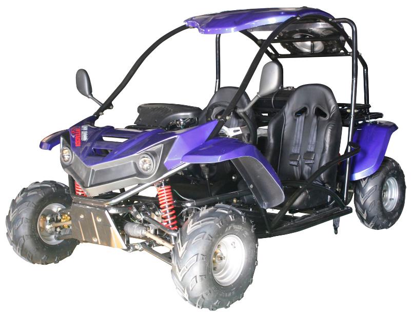 T-REX 125cc Kids Gas Go Kart, Electric Start, Automatic, Reverse, Ages 8+