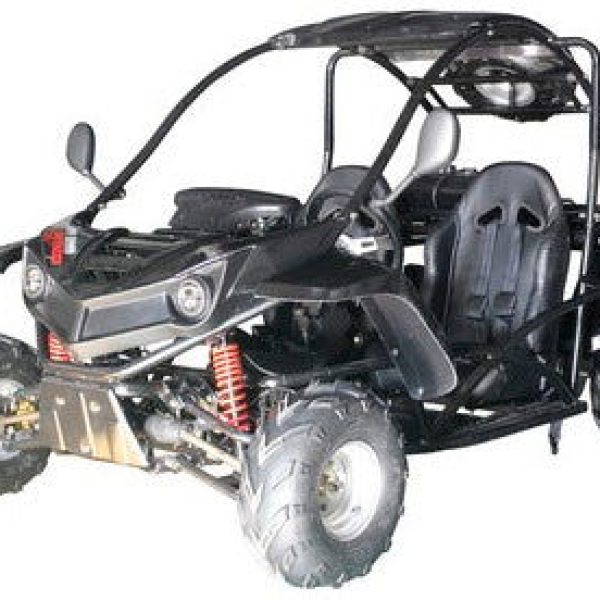 T-REX 125cc Kids Gas Go Kart, Electric Start, Automatic, Reverse, Ages 8+