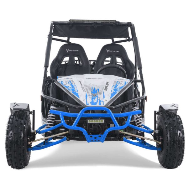 Tao Baja Sport 200 Adult Buggy Go Kart, Electric Start, Automatic with Reverse, LED Lightbar, Ages 16 and up