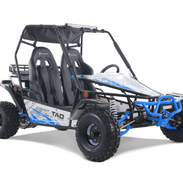 Tao Baja Sport 200 Adult Buggy Go Kart, Electric Start, Automatic with Reverse, LED Lightbar, Ages 16 and up