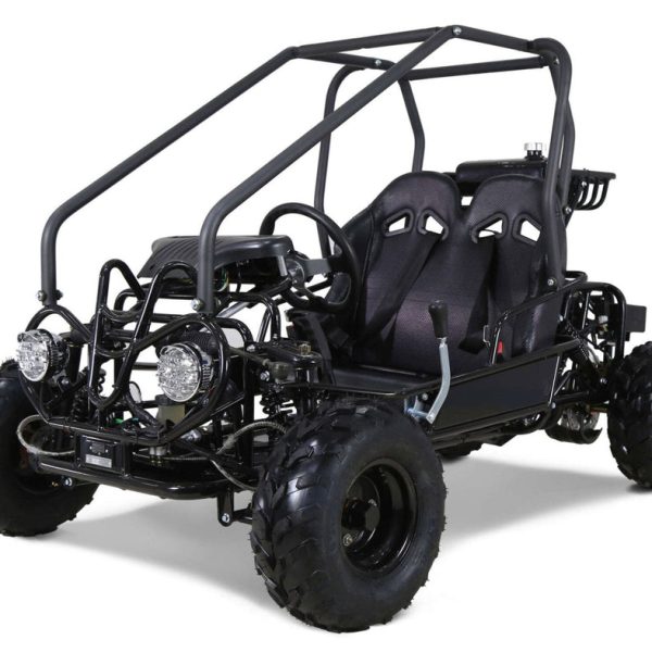 Tao GK110 Kids Gas Go Kart, Electric Start, Reverse, Remote Kill, Ages 6+