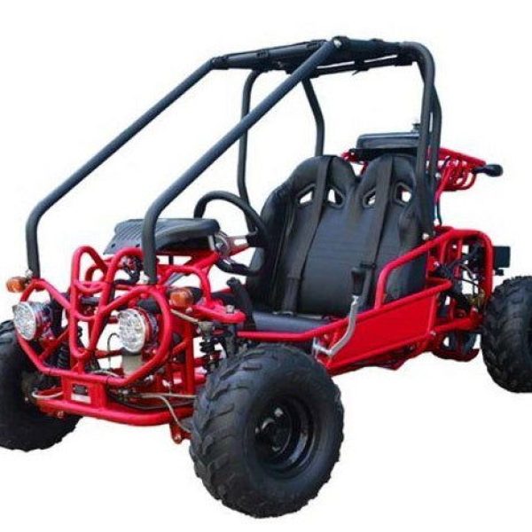 Tao GK110 Kids Gas Go Kart, Electric Start, Reverse, Remote Kill, Ages 6+