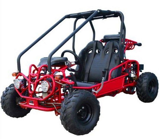Tao GK110 Kids Gas Go Kart, Electric Start, Reverse, Remote Kill, Ages 6+ - Image 2