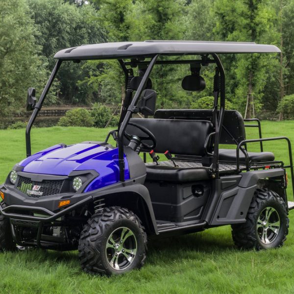 TrailMaster Taurus 450GX Gas Golf Cart UTV, 4x4 High/Low Gear, Alloy Wheels
