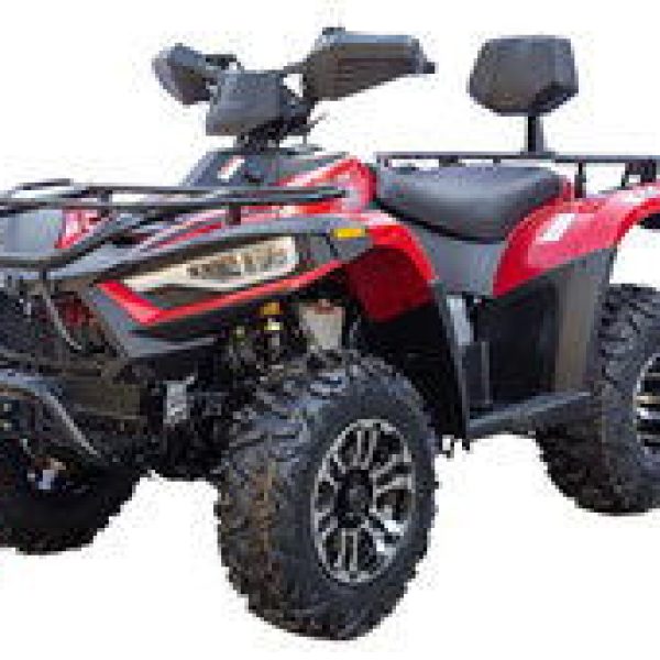 Terminator 300cc Utility 4x4 ATV, Fully-Automatic with Reverse