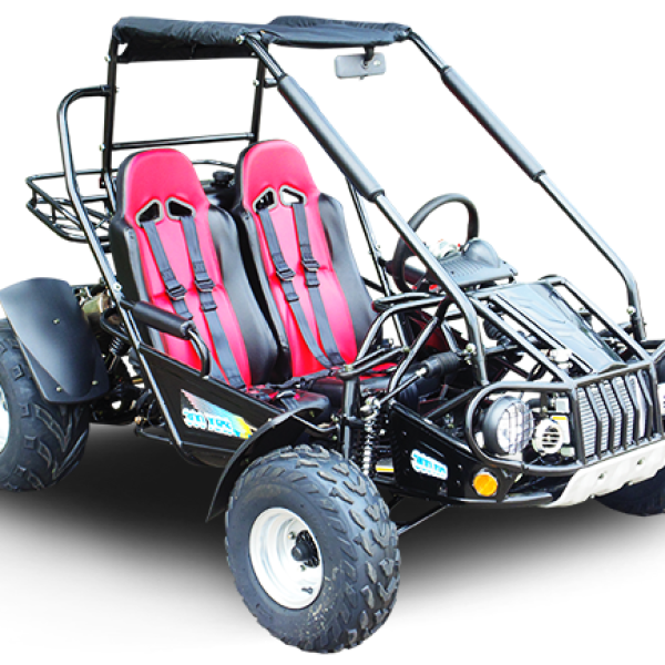 TrailMaster 300E XRS (EFI) Dune Buggy Go Kart, Liquid Cooled, Chain Drive
