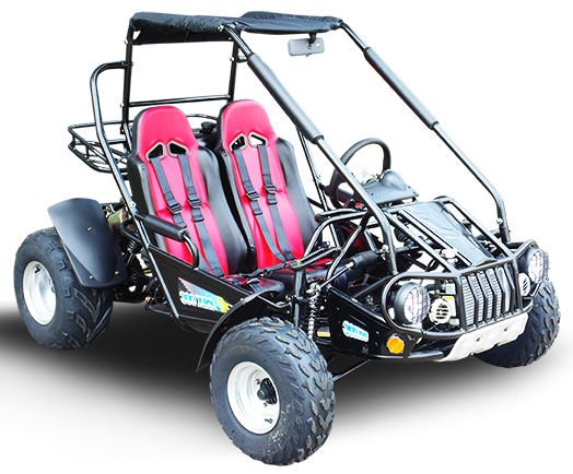 TrailMaster 300E XRS (EFI) Dune Buggy Go Kart, Liquid Cooled, Chain Drive - Image 2