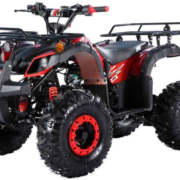 TrailMaster B125 125cc Utility ATV, Automatic with Reverse, 8-inch Wheels, Ages 12+