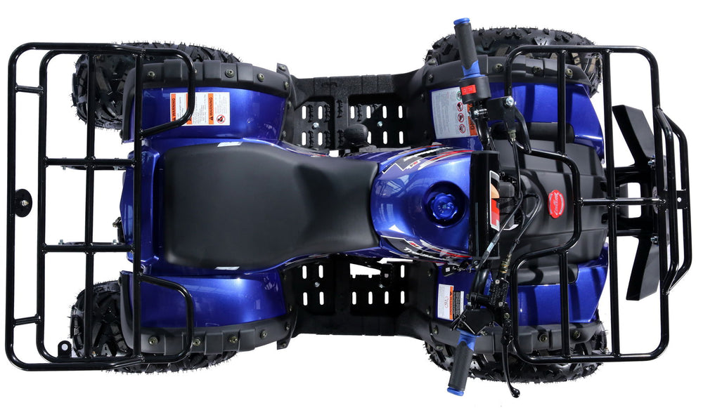 TrailMaster B125 125cc Utility ATV, Automatic with Reverse, 8-inch Wheels, Ages 12+ - Image 5