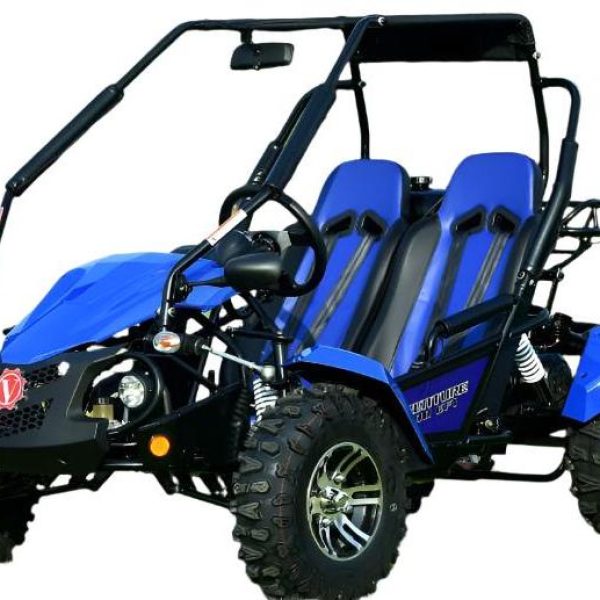 Venture 200 EFI Buggy Go Kart, Electric Start, Automatic with Reverse, Ages 16 and up