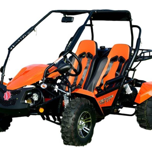 Venture 200 EFI Buggy Go Kart, Electric Start, Automatic with Reverse, Ages 16 and up
