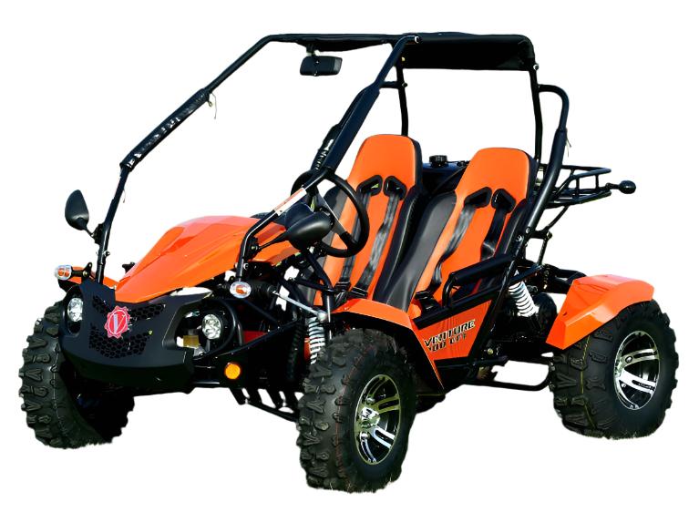 Venture 200 EFI Buggy Go Kart, Electric Start, Automatic with Reverse, Ages 16 and up - Image 2