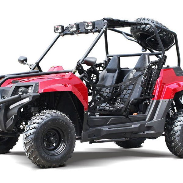 Victory 200 UTV Side-by-Side, Electric Start, Automatic with Reverse, Ages 16 and up