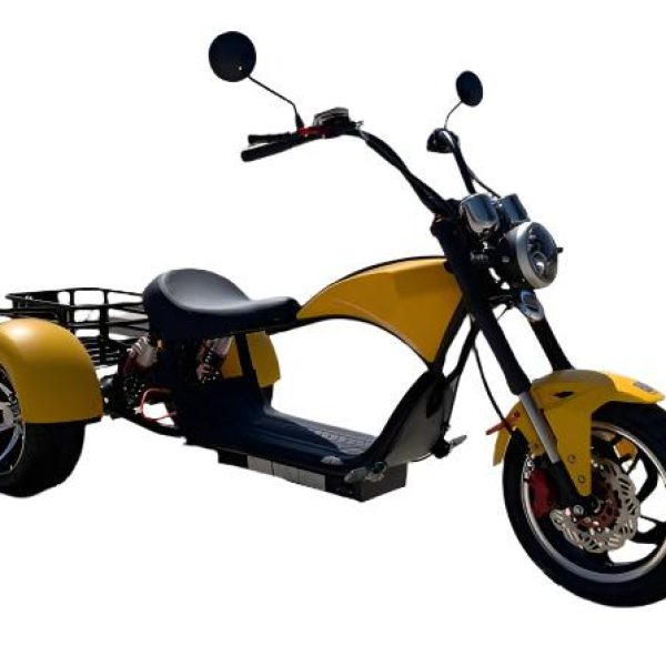 Cobra Electric Street Trike, 60v 2000w Lithium